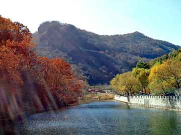 新澳天天开奖资料大全旅游团，恶夫